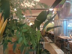 -芭莉与彩虹西餐厅(成都合生汇店)