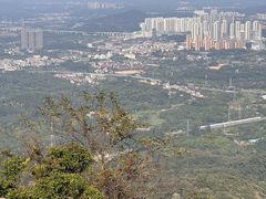 -黄埔油麻山森林公园
