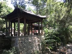 -井塘古村