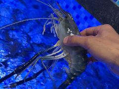 -七的湖·晚芳亭·阳澄湖农家菜·大闸蟹(莲花岛店)