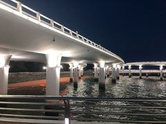 -演武大桥观景平台