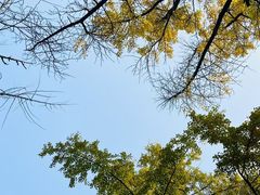 -四川大学(华西校区)