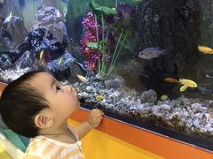 -中国宋庆龄青少年科技文化交流中心