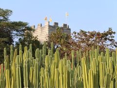 -松山湖梦幻百花洲