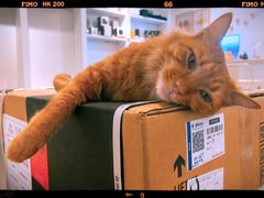 -Tempo Coffee(市二宮店)