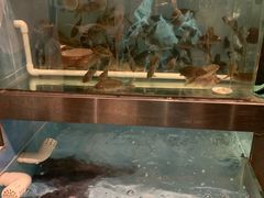 -漓江又一軒·广西菜·桂林米粉(梅林店)