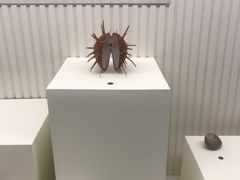 -青岛贝壳博物馆