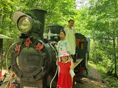 -五营红松林海景区