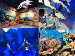 -华夏文旅西安度假区