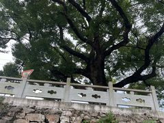 -东钱湖旅游度假区