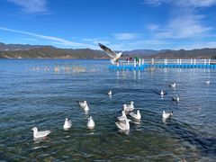 -丽江泸沽湖景区