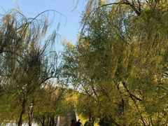 -清溪水库