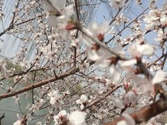 -河北省园博园