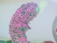 -杭州植物园