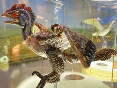 -辽宁古生物博物馆