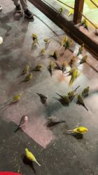 -酷嗒动物文化乐园(cutezoo西溪乐天城店)