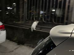 -仓库南洋海鲜小排档(柳河路店)