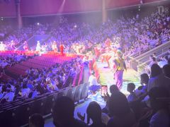 -珠海横琴长隆《卡卡虎奇遇记》