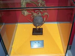 -上海昆虫博物馆