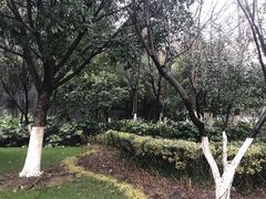 -常州古运河南大街文化旅游区-人民公园