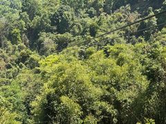 -清迈丛林飞跃 JungleFlight