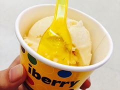 IBERRY-莓园冰淇淋店
