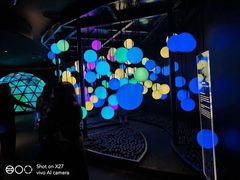 -vivo官方授权体验店(太子路店)