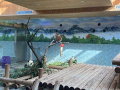-西安秦岭野生动物园