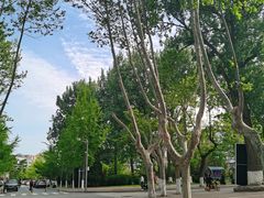 -大连理工大学(凌水校区)