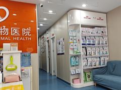 -创凡宠物医院·骨专科  猫科中心(西乡分院)