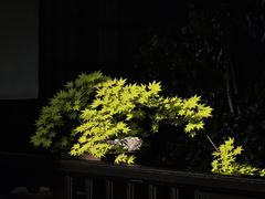 -31号公馆(黄兴广场白果园店)