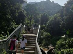 -阳台山自然风景区