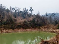-青龙山国家森林公园
