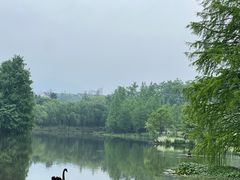 -浙江农林大学(东湖校区)