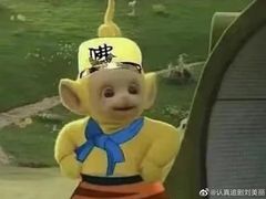 -瑞派动物医院·猫专科·至诚(江南中分院)