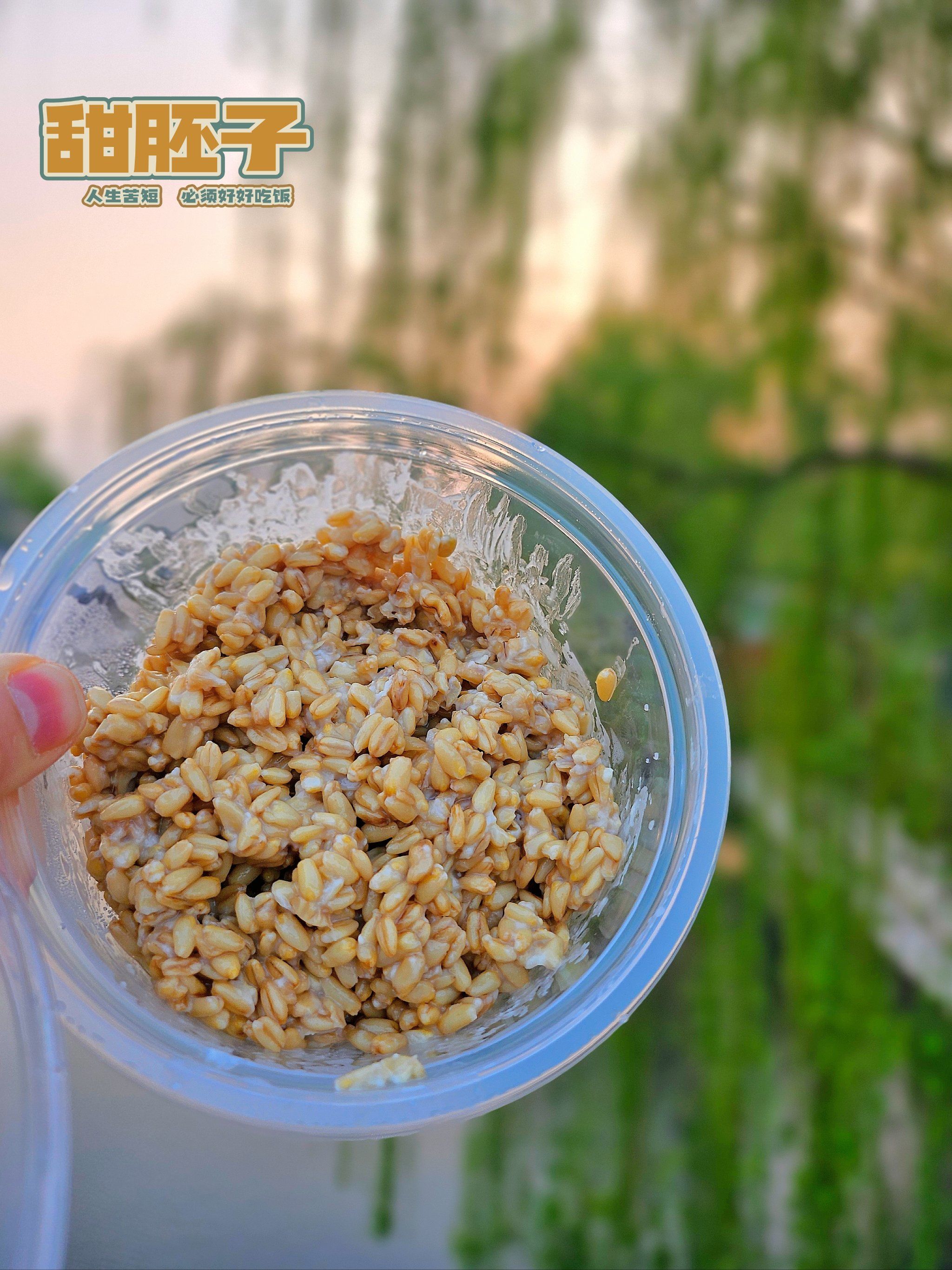 甜胚子的春日微醺,隐世小店给我的小确幸