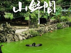 -黔灵山公园
