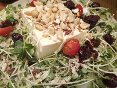 奶酪沙拉-机器人火炉披萨