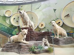 -陕西自然博物馆