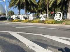 -野狸岛