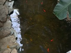 -陆地游轮吉林神农温泉