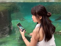 -海合安成都极地海洋公园