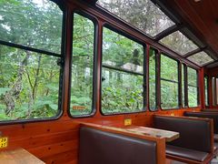 -合肥滨湖国家森林公园