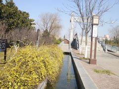 -洛阳市隋唐城遗址植物园