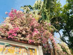 -深圳国际园林花卉博览园