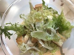 凯撒色拉-光明邨大酒家(淮海路店)