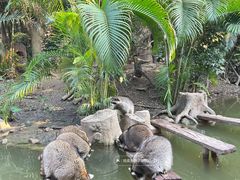 -长鹿旅游休博园