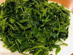 炝拌野菜-王村姑老土炕莜面村(张北店)