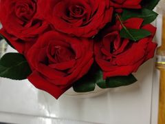 -盐井记·自贡美蛙鲜锅兔(中和店)