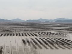 -北岐滩涂